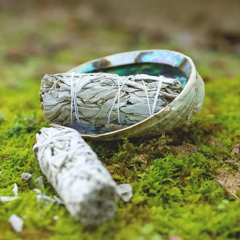 White Sage Smudge Stick — Wild-Harvested | Natural Cleansing & Meditation