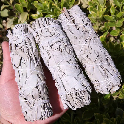 White Sage Smudge Stick — Wild-Harvested | Natural Cleansing & Meditation