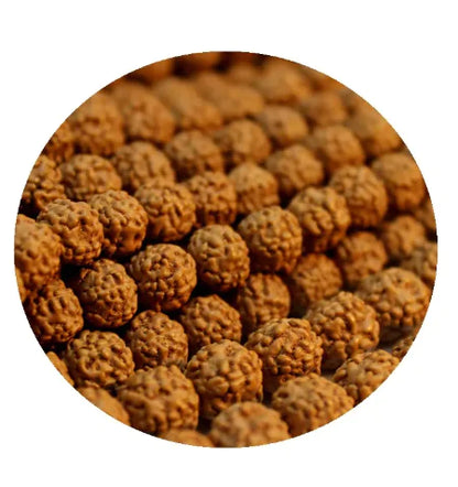 108-Piece Rudraksha Bead Set – Natural Mala Bodhi Seeds for Meditation & Prayer
